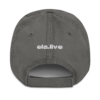 distressed-dad-hat-charcoal-grey-back-66d0c90e3a9dc.png